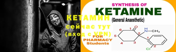 крисы Балахна