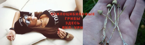 ECSTASY Баксан