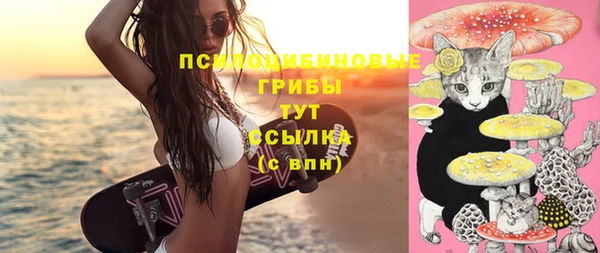 ECSTASY Баксан
