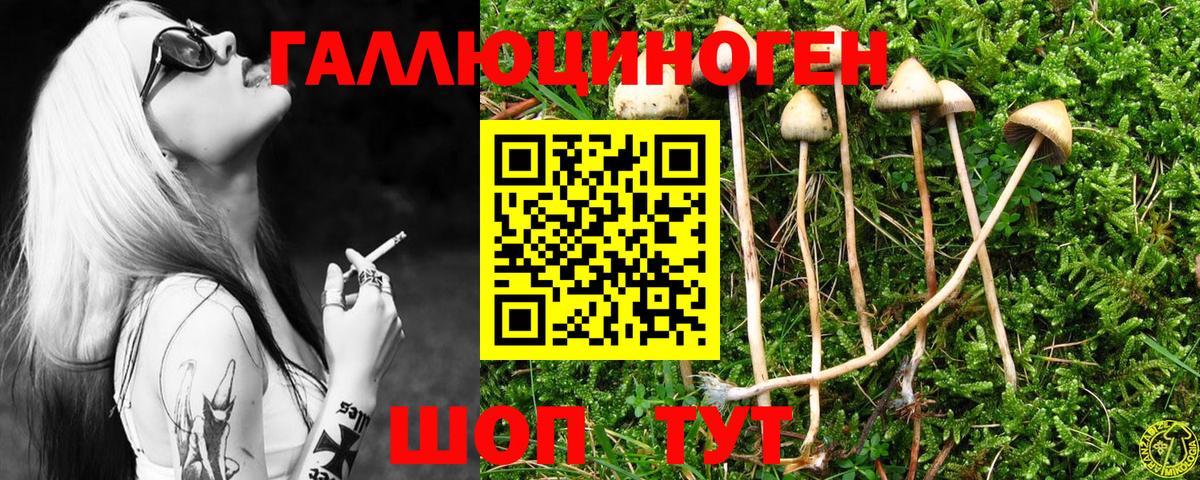 Корсаков  купить   Вход с VPN  Псилоцибиновые грибы Psilocybine cubensis  Псилоцибиновые грибы Cubensis 